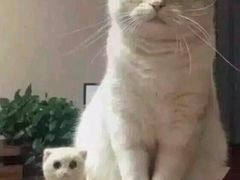 -怡人怡口牛排海鲜自助(飞龙大厦店)