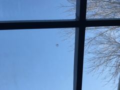 -VOYAGE COFFEE(北锣鼓巷店)