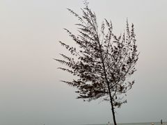 -白沙门生态公园