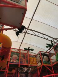 -寻石问宝研学亲子乐园(朝阳公园店)