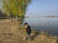 -合肥滨湖国家森林公园
