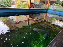 -半山•草庐玖厨(机场路店)