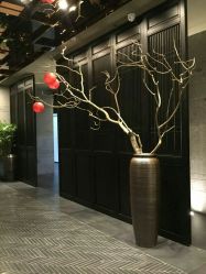 -盘子女人坊古装写真摄影(深圳店)