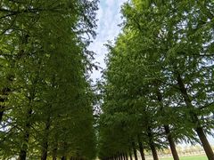 -嘉北郊野公园