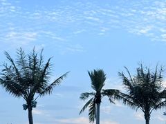 -上海玛雅海滩水公园