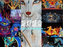 -淄博花灯齐彩城