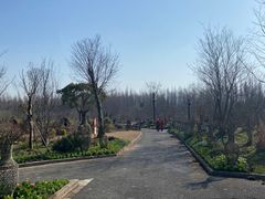 -东平国家森林公园