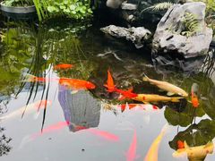 -道南書院·私房菜·早午茶·茶馆