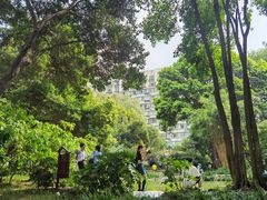 -成都市活水公园