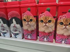 -万达广场(槐房店)