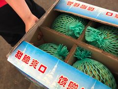 -双福水果批发市场