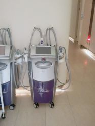 -美丽田园Beauty Farm