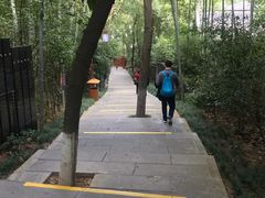 -天目湖山水园