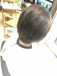 -Mentor Hair Salon