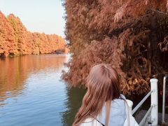 -上海海湾国家森林公园