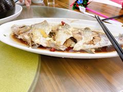 -宾湖农庄·农场特色(太湖龙之梦店)