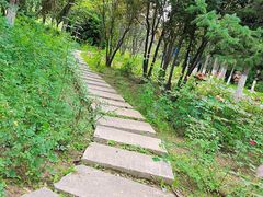 -水车博览园