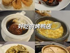 -羲和雅苑•北京烤鸭(平安国际金融中心店)