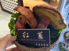 -爱膳菌锅锅(阳南店)