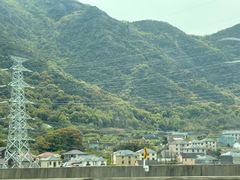 -洲晓鲜·舟山海鲜大排档(朱家尖风景区店)