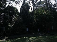 -武吉知马自然保护区