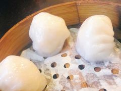 -添运来(茶园奥园广场店)
