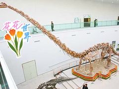 -陕西自然博物馆