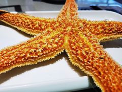 -大锅强·蒸海鲜青岛菜(吾悦广场店)