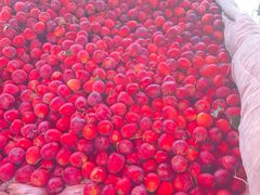 -团泊镇示范集贸市场