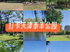 -泰丰公园