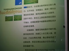 -仪征博物馆