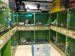 -米卢宠物公园(广华居店)