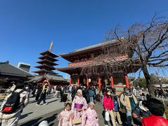 -浅草寺