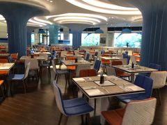 大堂-帝企鹅自助餐厅•儿童岛•真企鹅(长隆企鹅酒店)