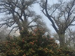 -青岛崂山太清宫