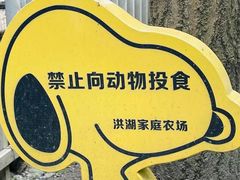 -洪湖家庭农场·团建·露营·会议