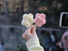 -音乐台
