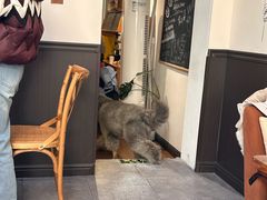 -沏点Trattoria意大利餐厅(新街口店)
