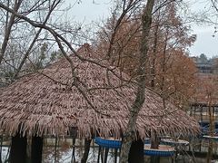 -黄陂区野村谷景区