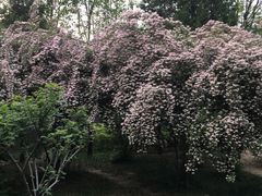 -玲珑塔公园