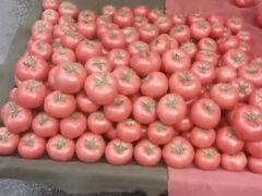 -东仓门早市