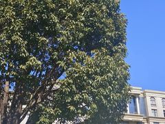 -云南师范大学(一二一西南联大校区)