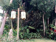 珠江南田温泉-三亚珠江南田温泉度假区