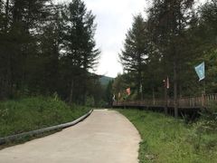 景点-苏木山森林公园