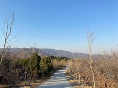 -北京西山国家森林公园