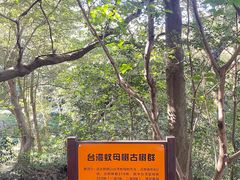 -普陀山风景区-佛顶山