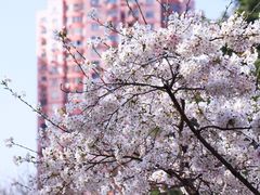 -永乐路-路侧停车场