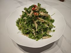 三叶香拌腐竹-7号院家宴.烧鸽子(门头沟店)