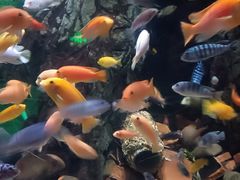 -太平洋海底世界