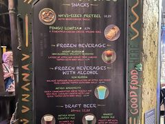 -奥兰多迪士尼动物王国乐园